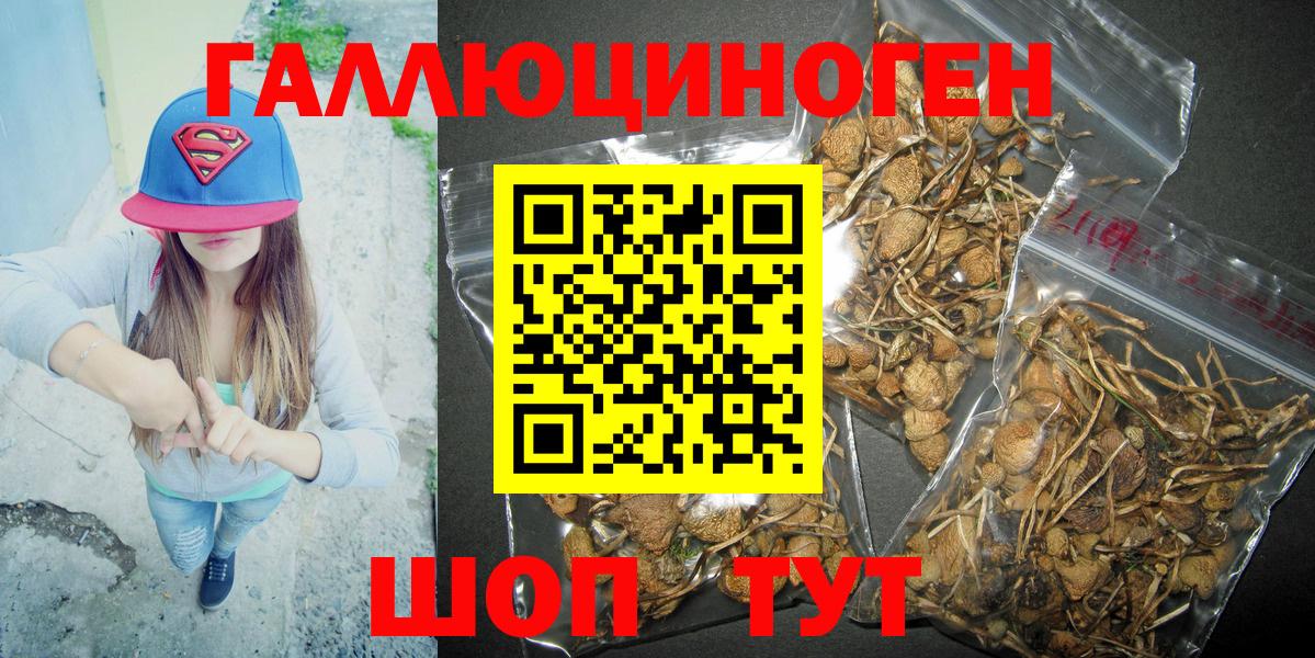 Псилоцибиновые грибы GOLDEN TEACHER  дарнет шоп  Иркутск  Галлюциногенные грибы Cubensis  Вход с VPN 